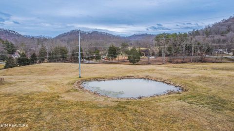 Tiny photo for 180 Ailor Gap Rd, Maynardville, TN 37807 (MLS # 1331793)