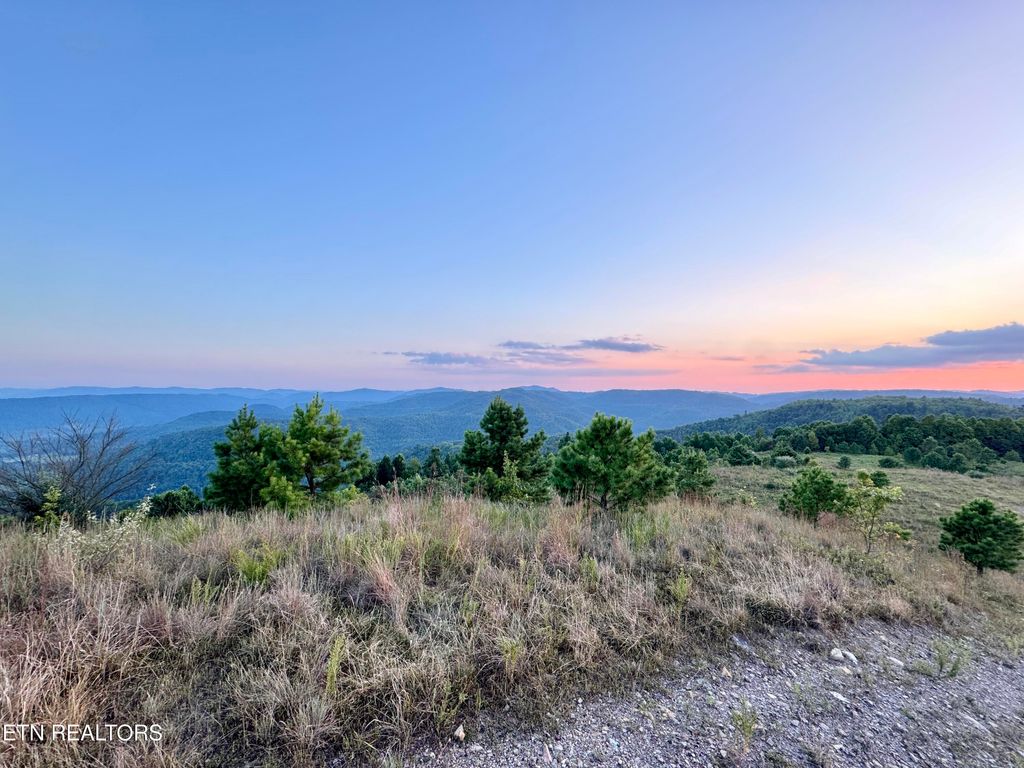 Photo of 207 Lick Fork Lane, Pioneer, TN 37847 (MLS # 1327836)