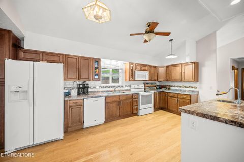 Tiny photo for 596 Chahokia Drive, Rutledge, TN 37861 (MLS # 1314996)