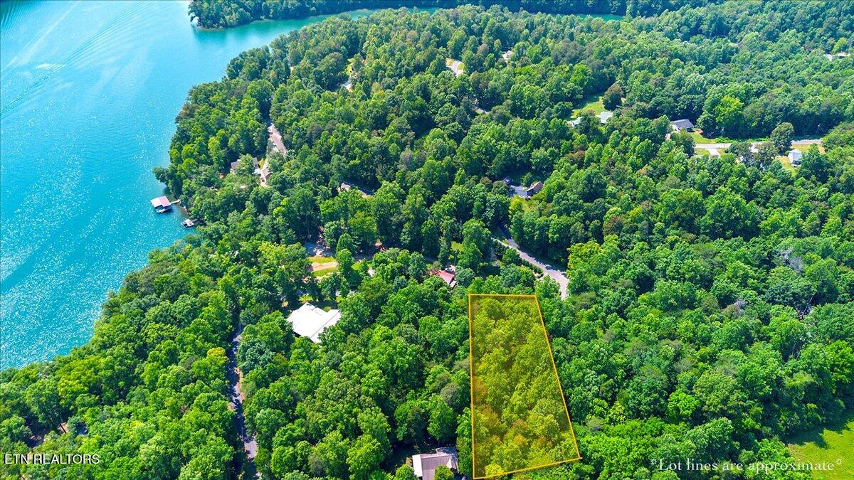 Hiwassee Drive