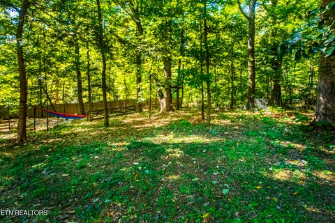 Tiny photo for 9523 W Aiken Lane, Knoxville, TN 37922 (MLS # 1359617)