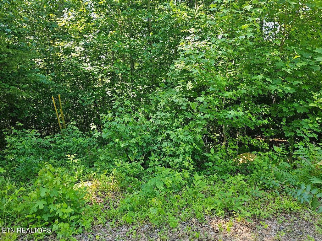 Photo of Cheri Lane Lot 63, Caryville, TN 37714 (MLS # 1264701)
