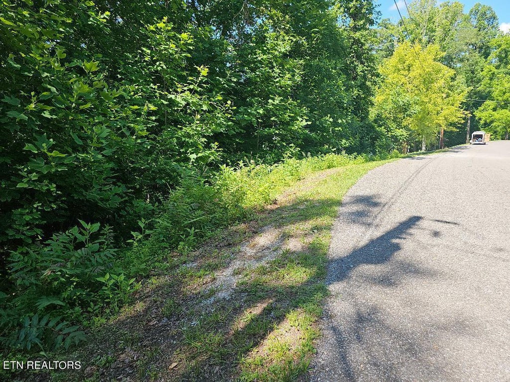 Photo of Cheri Lane Lot 63, Caryville, TN 37714 (MLS # 1264701)