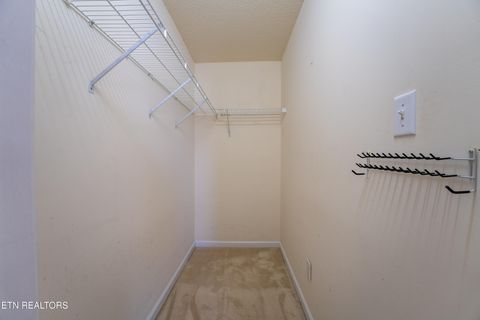 Tiny photo for 8024 Stablegate Way, Powell, TN 37849 (MLS # 1329477)