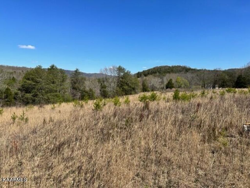 Photo of Smith Hollow Rd, Blaine, TN 37709 (MLS # 1222322)