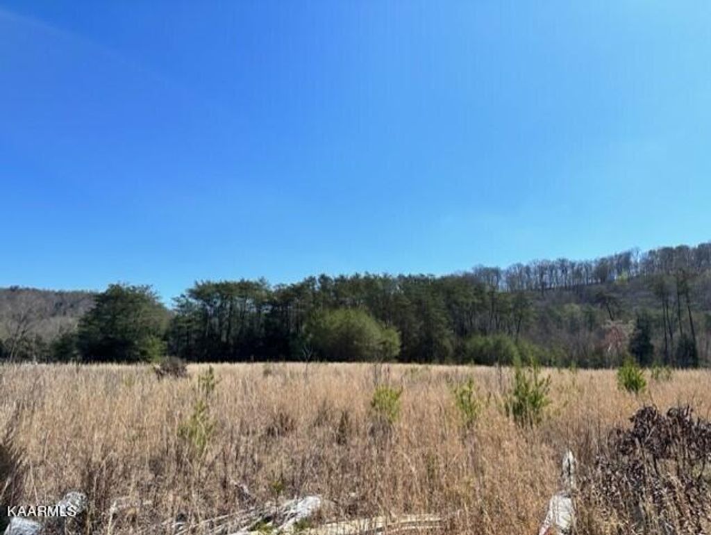 Photo of Smith Hollow Rd, Blaine, TN 37709 (MLS # 1222322)