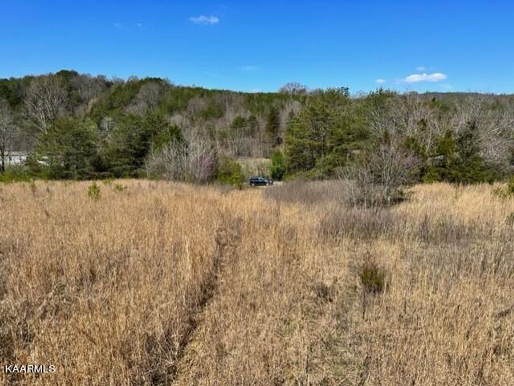 Photo of Smith Hollow Rd, Blaine, TN 37709 (MLS # 1222322)