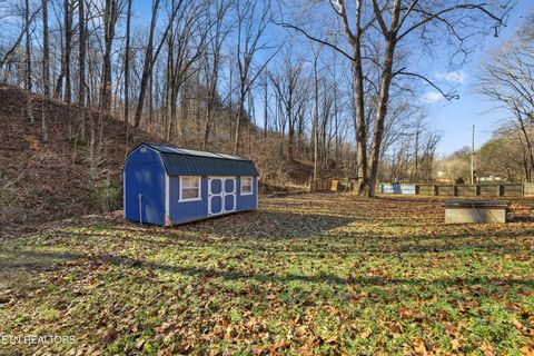 Tiny photo for 3214 Long Hollow Rd, Powell, TN 37849 (MLS # 1326317)