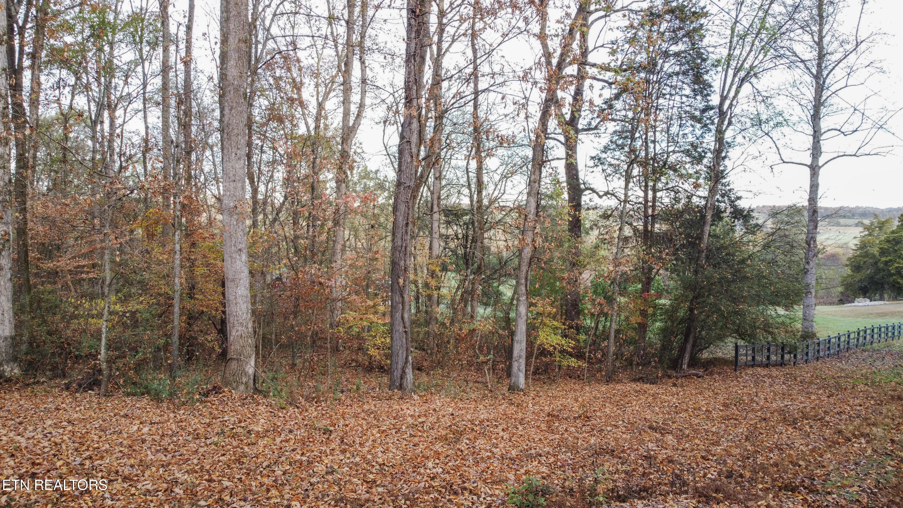 Lot 4 Parcel 059 040.02 Rd