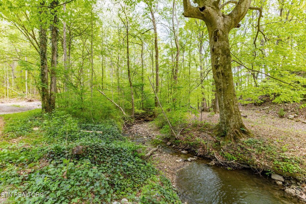 Photo of 8 ac +/-Tollgate Rd, Rockwood, TN 37854 (MLS # 1337286)