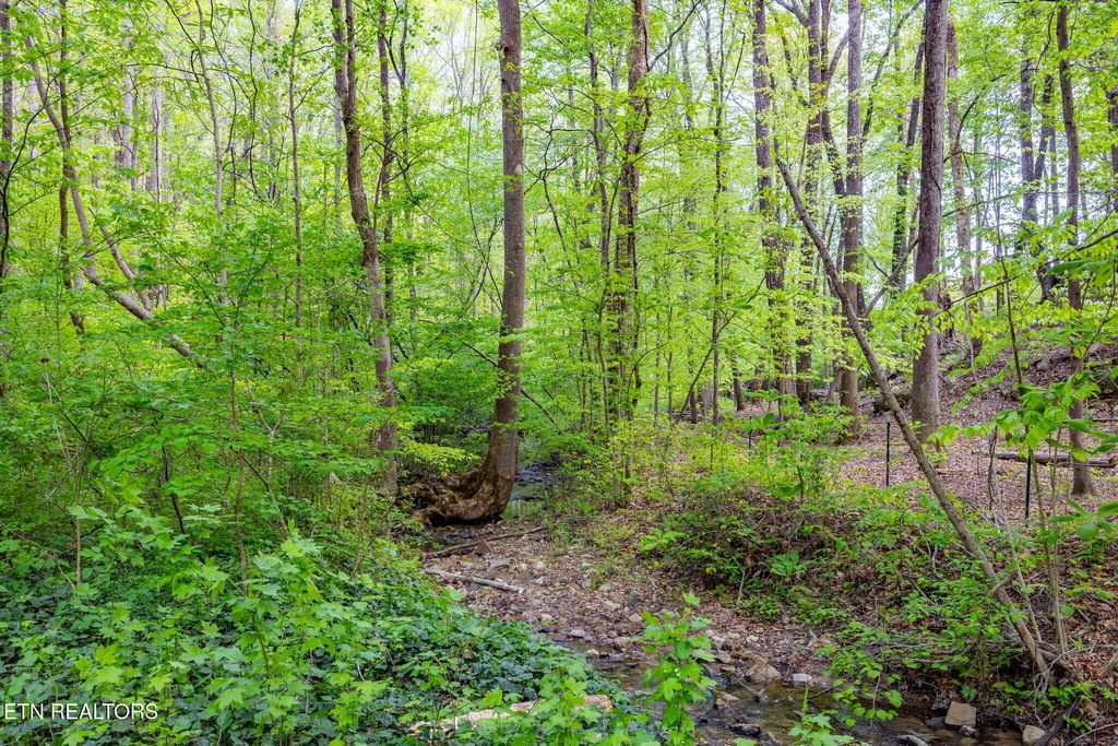 Photo of 8 ac +/-Tollgate Rd, Rockwood, TN 37854 (MLS # 1337286)