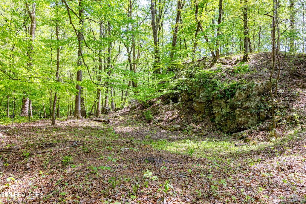 Photo of 8 ac +/-Tollgate Rd, Rockwood, TN 37854 (MLS # 1337286)