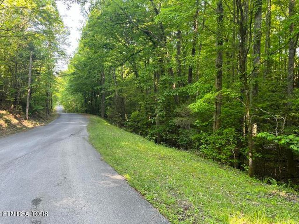 Photo of 336342 Omega Drive Drive, Spring City, TN 37381 (MLS # 1339669)