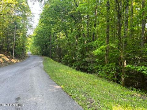 Tiny photo for 336342 Omega Drive Drive, Spring City, TN 37381 (MLS # 1339669)