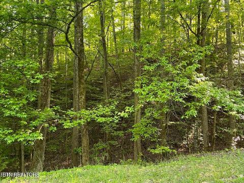 Photo of 336342 Omega Drive Drive, Spring City, TN 37381 (MLS # 1339669)