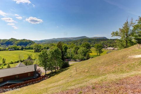 Photo of 1801 Stone Wood Way, Pigeon Forge, TN 37862 (MLS # 1339182)
