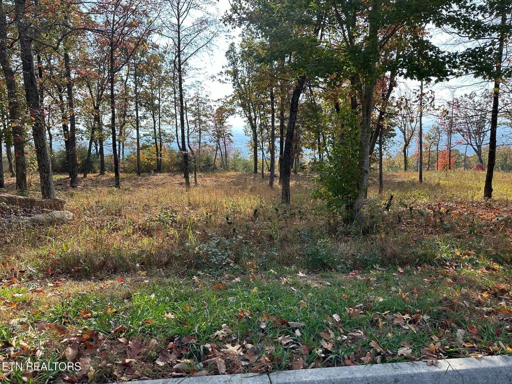 Photo of 288 Duckwood Lane, Evensville, TN 37332 (MLS # 1280893)