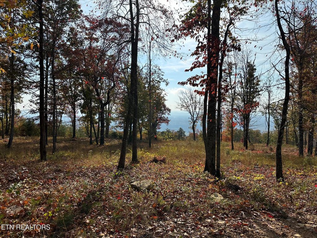 Photo of 288 Duckwood Lane, Evensville, TN 37332 (MLS # 1280893)