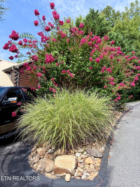 Tiny photo for 1579 Tranquility Tr, Dandridge, TN 37725 (MLS # 1331148)