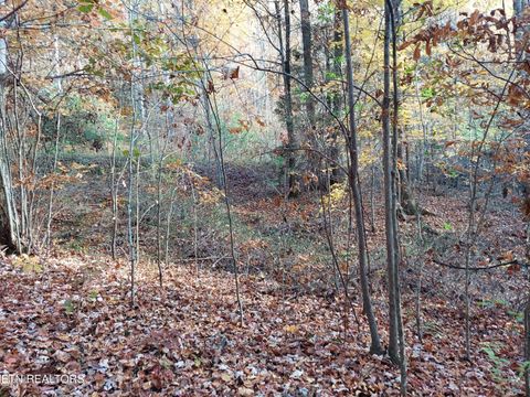 Tiny photo for 19 Sugar Maple Way, Del Rio, TN 37727 (MLS # 1332331)