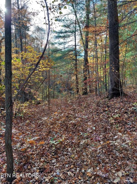 Tiny photo for 19 Sugar Maple Way, Del Rio, TN 37727 (MLS # 1332331)