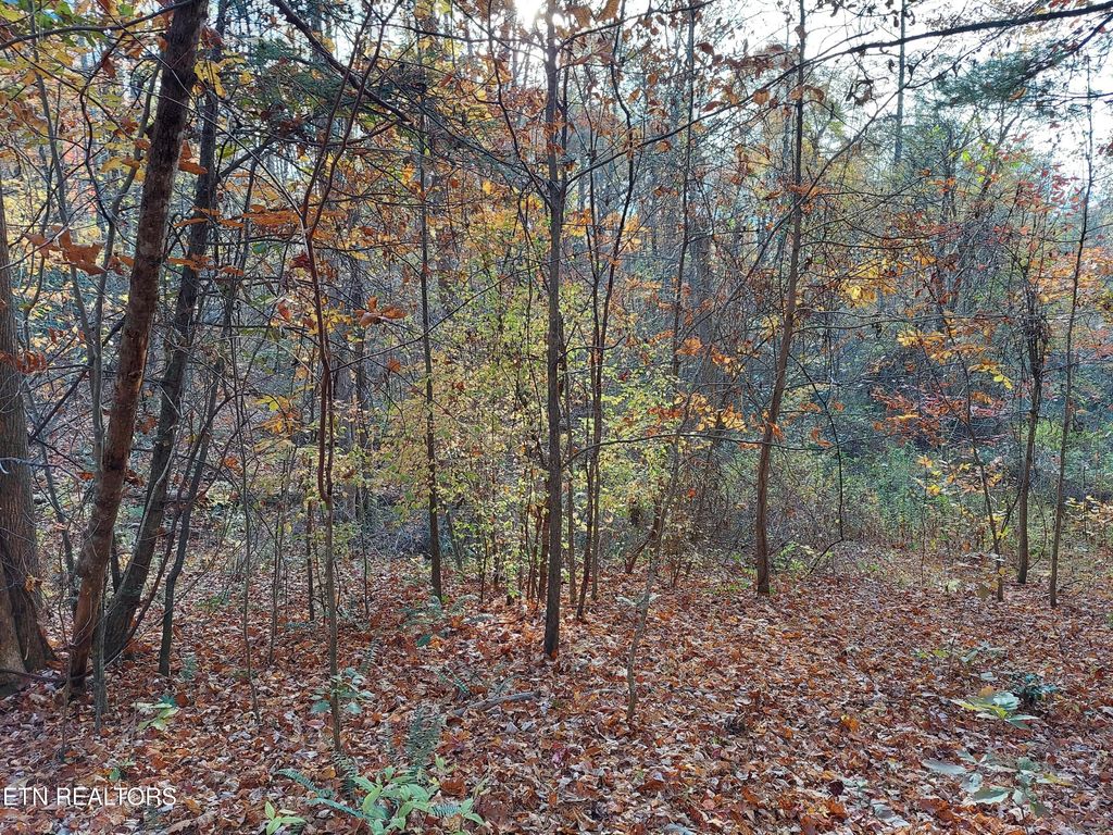 Photo of 19 Sugar Maple Way, Del Rio, TN 37727 (MLS # 1332331)