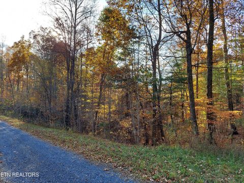 Tiny photo for 19 Sugar Maple Way, Del Rio, TN 37727 (MLS # 1332331)