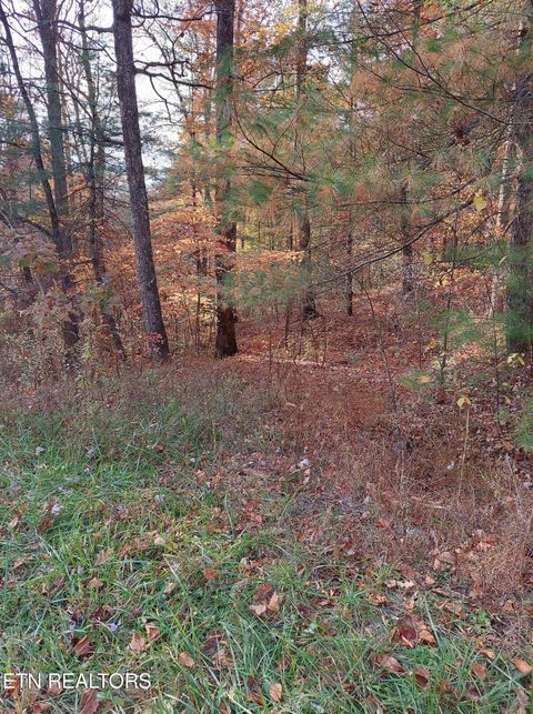 Tiny photo for 19 Sugar Maple Way, Del Rio, TN 37727 (MLS # 1332331)