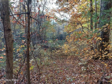 Tiny photo for 19 Sugar Maple Way, Del Rio, TN 37727 (MLS # 1332331)