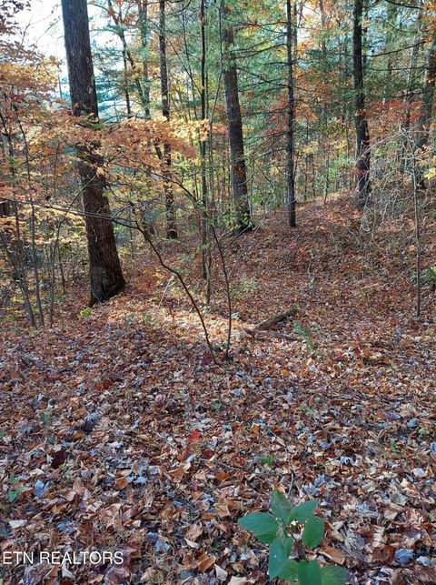 Tiny photo for 19 Sugar Maple Way, Del Rio, TN 37727 (MLS # 1332331)