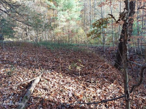 Tiny photo for 19 Sugar Maple Way, Del Rio, TN 37727 (MLS # 1332331)