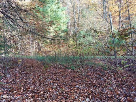 Tiny photo for 19 Sugar Maple Way, Del Rio, TN 37727 (MLS # 1332331)