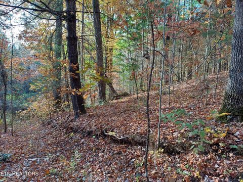 Tiny photo for 19 Sugar Maple Way, Del Rio, TN 37727 (MLS # 1332331)