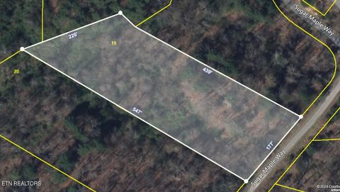 Tiny photo for 19 Sugar Maple Way, Del Rio, TN 37727 (MLS # 1332331)