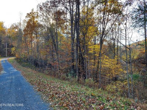 Tiny photo for 19 Sugar Maple Way, Del Rio, TN 37727 (MLS # 1332331)