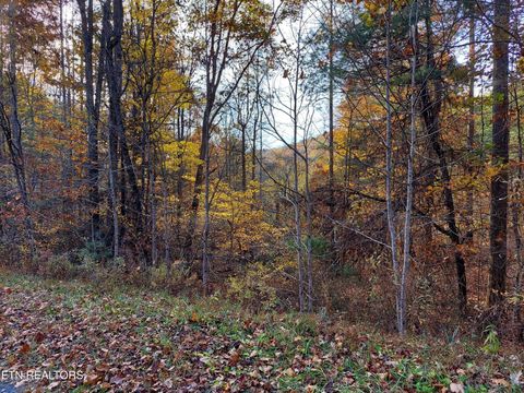 Tiny photo for 19 Sugar Maple Way, Del Rio, TN 37727 (MLS # 1332331)