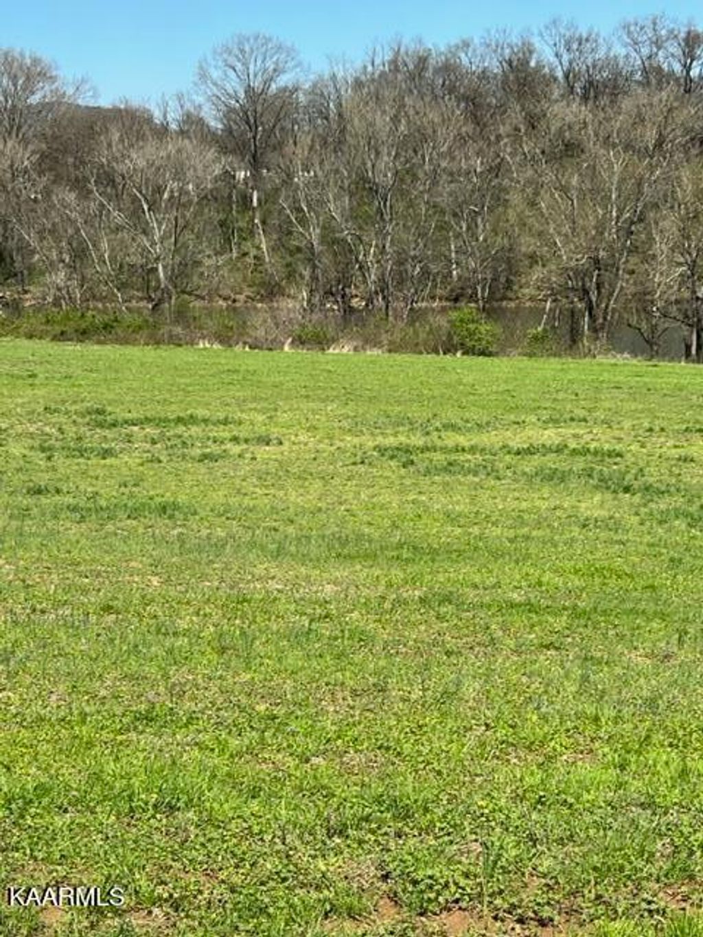 Photo of N Ruggles Ferry Rd, Strawberry Plains, TN 37871 (MLS # 1224550)