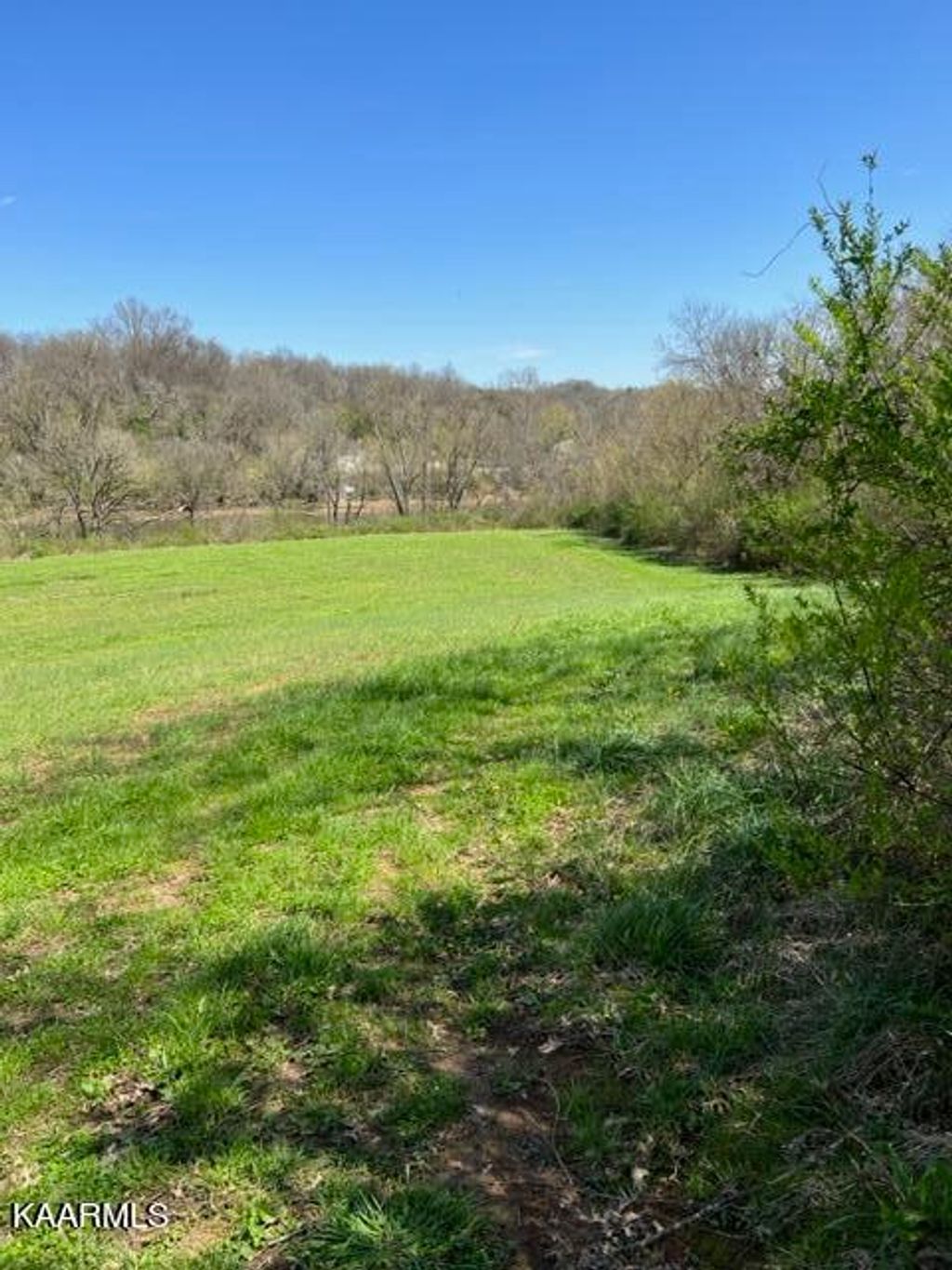 Photo of N Ruggles Ferry Rd, Strawberry Plains, TN 37871 (MLS # 1224550)
