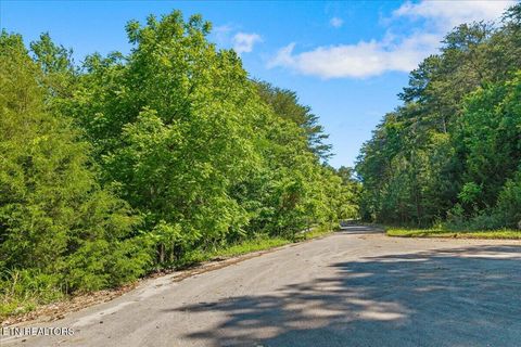 Photo of 00 Elm Lane, Sweetwater, TN 37874 (MLS # 1340243)