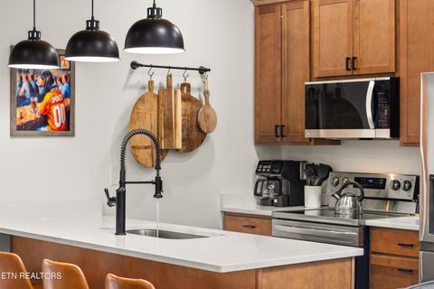 Tiny photo for 1349 Reedmont Way, Sevierville, TN 37876 (MLS # 1324011)