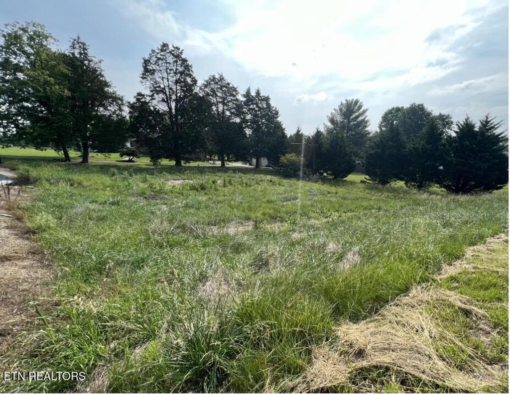 Photo of Tazewell Pike, Corryton, TN 37721 (MLS # 1300599)