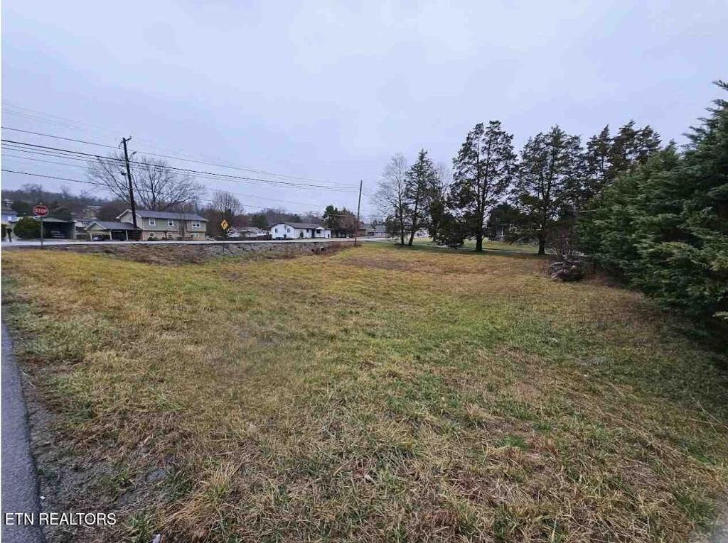 Photo of Tazewell Pike, Corryton, TN 37721 (MLS # 1300599)
