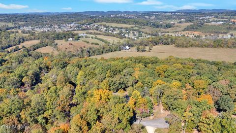 Tiny photo for 660 Armstrong Drive, Dandridge, TN 37725 (MLS # 1318866)