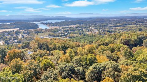 Tiny photo for 660 Armstrong Drive, Dandridge, TN 37725 (MLS # 1318866)