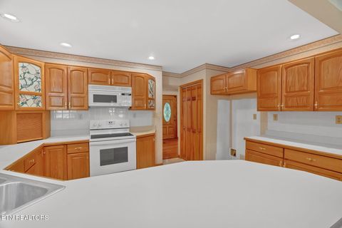 Tiny photo for 660 Armstrong Drive, Dandridge, TN 37725 (MLS # 1318866)