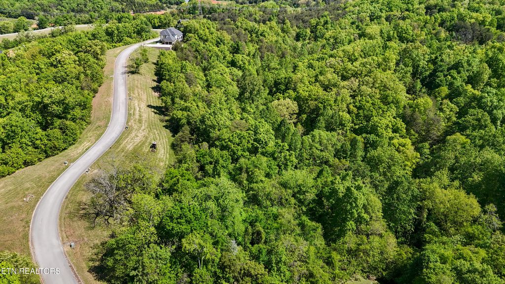Photo of 2004 Turners Landing Rd, Russellville, TN 37860 (MLS # 1339135)