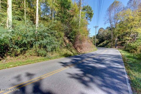 Tiny photo for 947 Powdermill Rd, Gatlinburg, TN 37738 (MLS # 1327431)