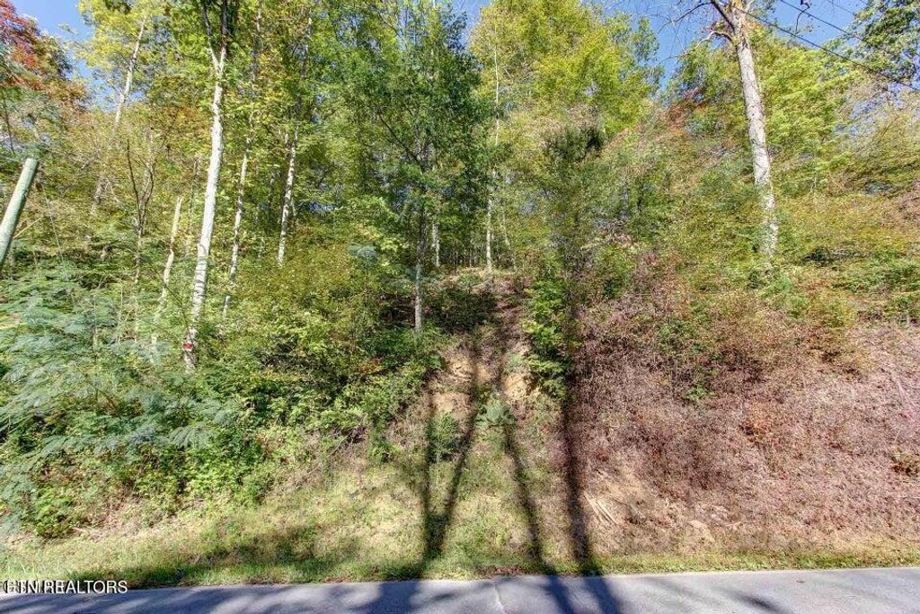 Photo of 947 Powdermill Rd, Gatlinburg, TN 37738 (MLS # 1327431)