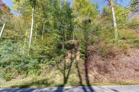 Tiny photo for 947 Powdermill Rd, Gatlinburg, TN 37738 (MLS # 1327431)