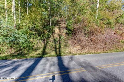 Tiny photo for 947 Powdermill Rd, Gatlinburg, TN 37738 (MLS # 1327431)